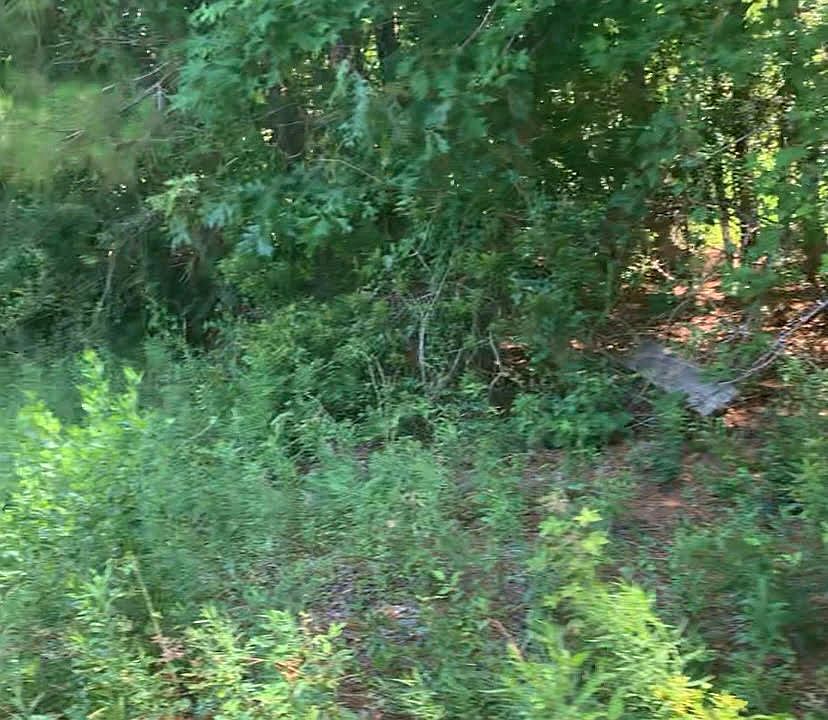 2nd image of 2836 Parkers Island Rd