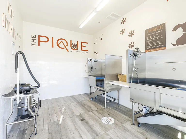 Pique at Iron Point — Photo 22