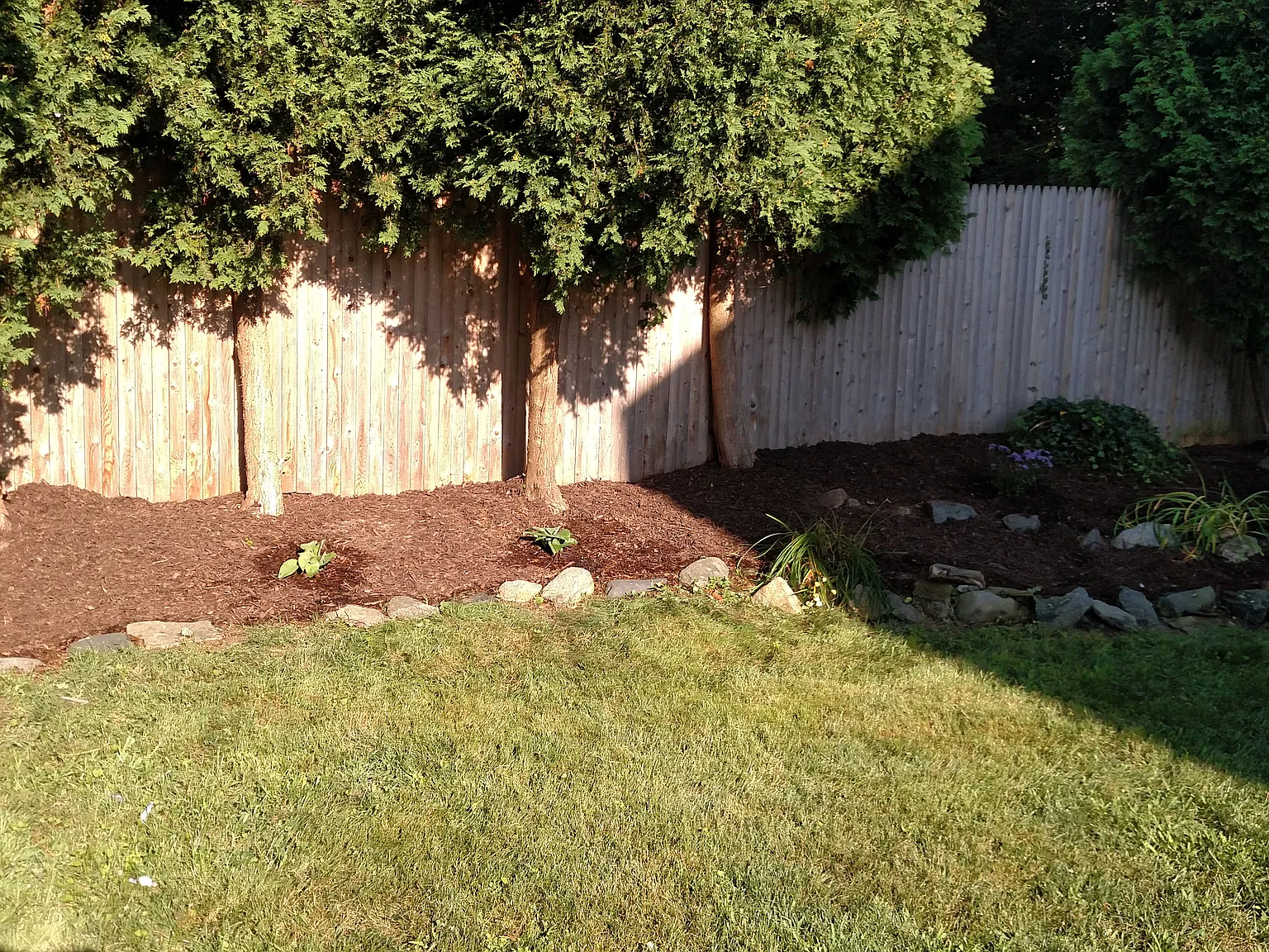 4 bed, 2.5 bath, 1900 sqft, $4,300 — Photo 4