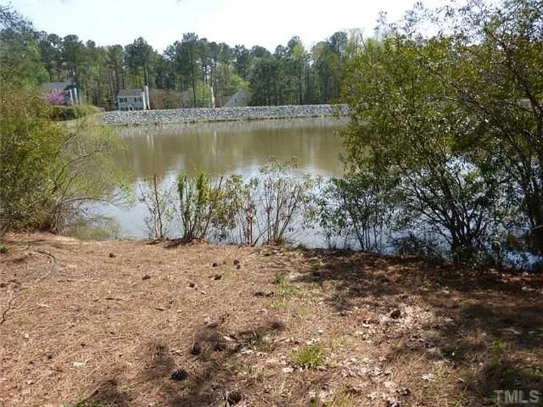 Lake view