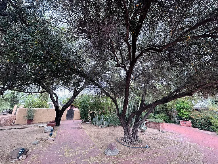 5180 E Fort Lowell Rd — Photo 31