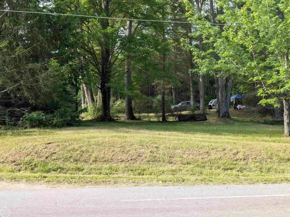 4296 E F30 Rd, Mikado, MI 48745