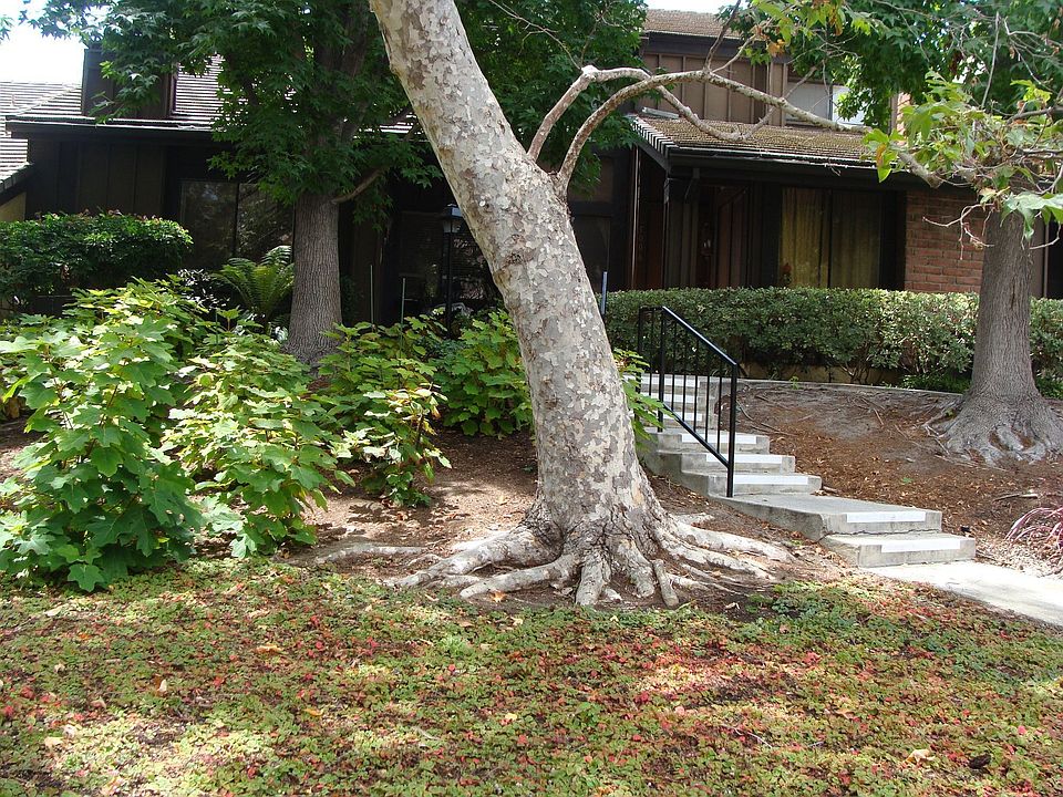 1st image of 5006 Showboat Pl