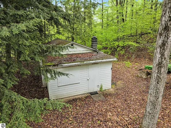 8705 Del Mason Rd, Mancelona, MI 49659