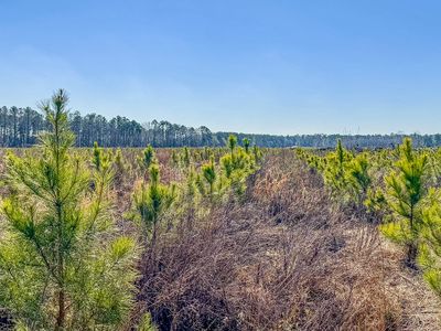 0 Highway 301 #3, Statesboro, GA, 30458