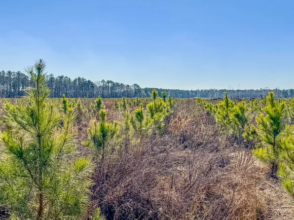 0 Highway 301 #3, Statesboro, GA 30458