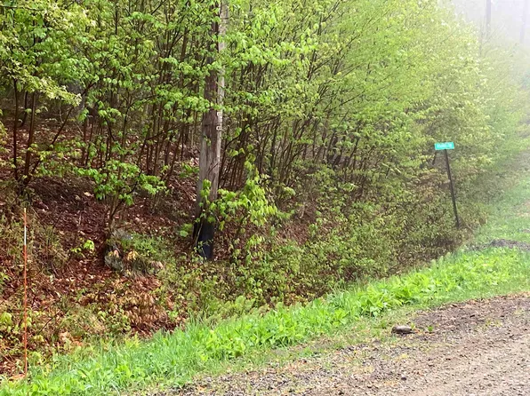 568 Reservoir Lane #M568, Wilmington, VT 05363