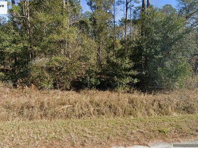 10350 Isaacson Ave, Hastings, FL, 32145