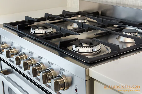 Rented by aptsandlofts.com | media 13