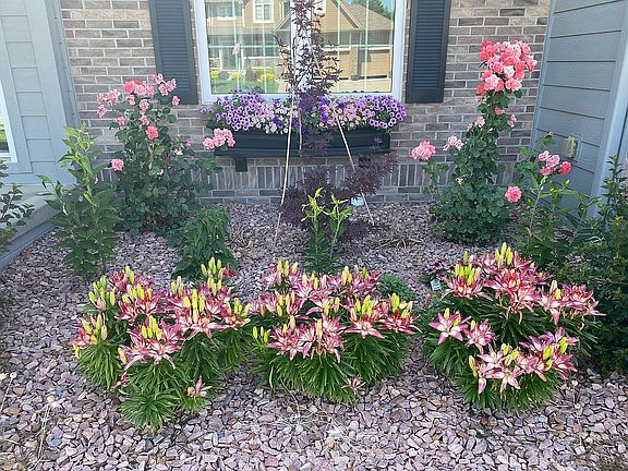 Front flower garden