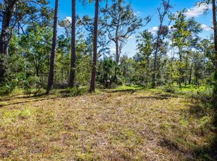 143 SE Yearling Rd, Mayo, FL 32066