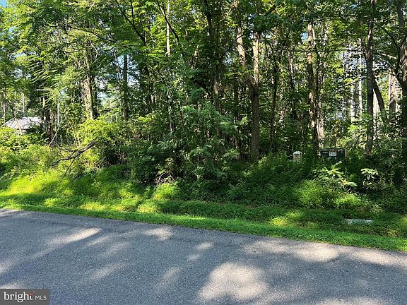 3rd image of Lake Forest Dr