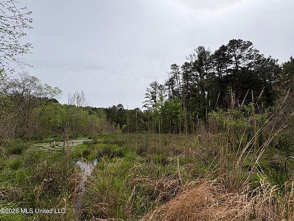 4th image of Forest Trl NE