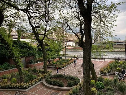 Rented by Nest Seekers International | media 3