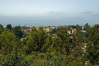 Patio Views :: 5801 Merriewood Drive