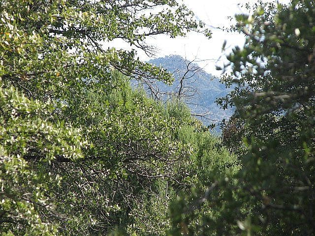 1st image of 2404 E Scenic Dr