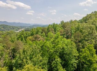 221 W Lowery Ln, Franklin, NC 28734