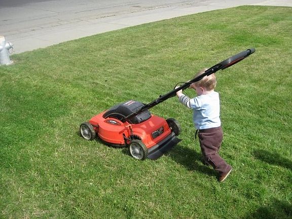 We have a new landscape guy