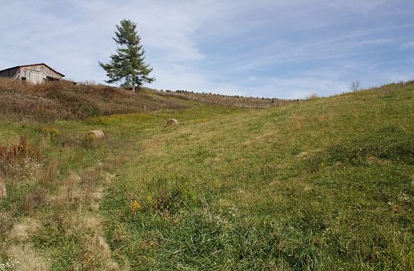 1st image of 14999 Highway 67 W