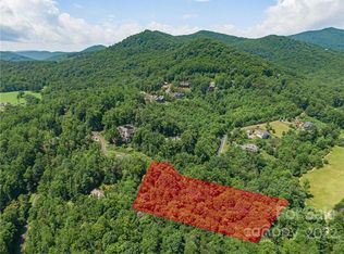 11 Bear Flower Trl #6, Arden, NC 28704