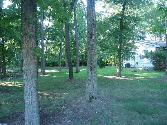 Side Yard