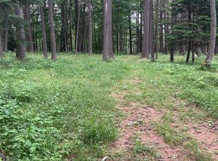 132 Badger Rd, Goshen, NH 03752