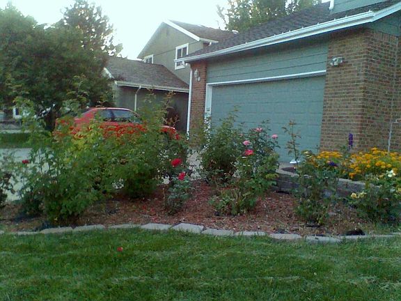 PhillipsPhillips garden 2jpg