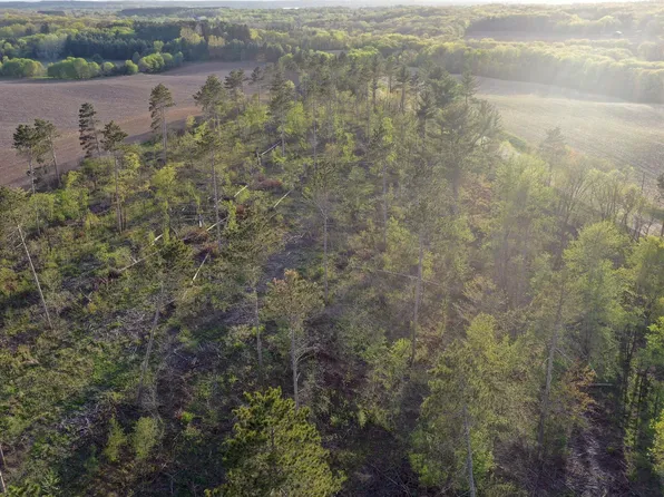 State Highway 65, Star Prairie, WI 54026