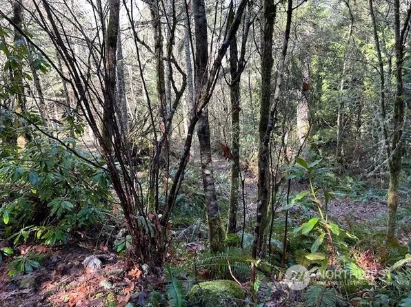 13649 Chein Hill Lane SE, Tenino, WA 98589