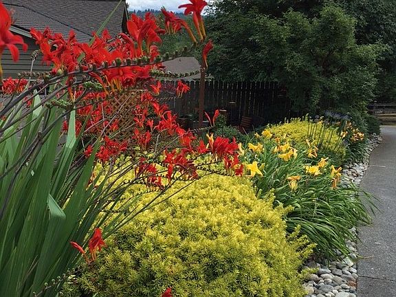 Side Yard