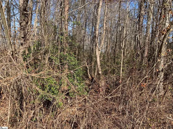 118 Marion St, Piedmont, SC 29673