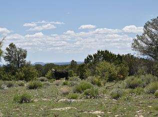 10654 W Red Bluff Rd, Williams, AZ 86046