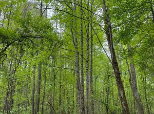 TRACT 7 Griffin Mill Rd, Pickens, SC 29671