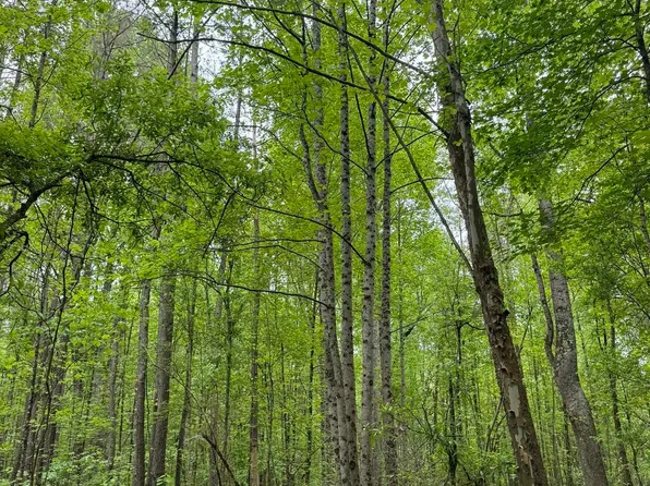 TRACT 7 Griffin Mill Rd, Pickens, SC 29671