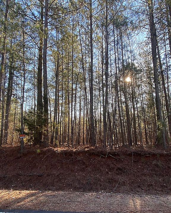 2nd image of Joe Cook Rd
