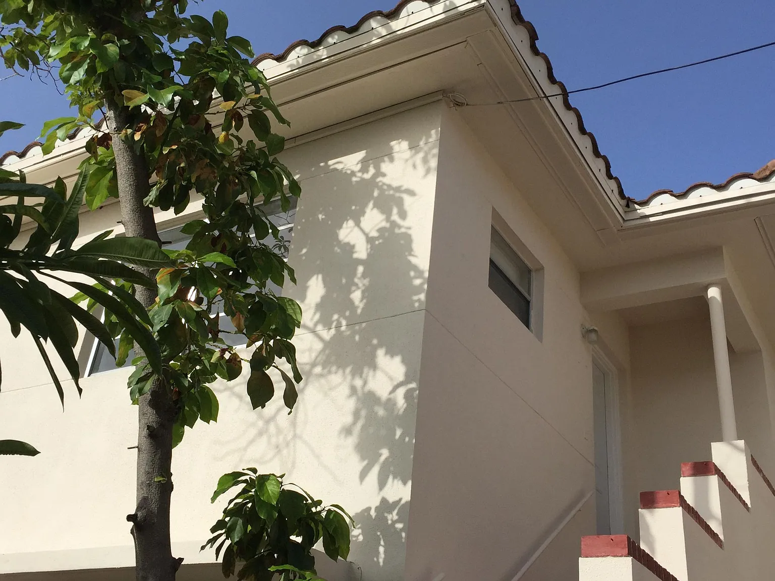 1 bed, 589 sqft, $1,800 — Photo 4