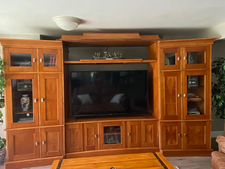 Entertainment center with large-screen tv