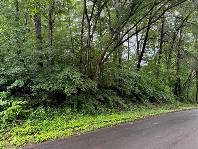 0 Logan Dr, Flintstone, GA, 30725