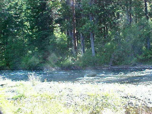 2nd image of 1071 Forest Service Rd #175