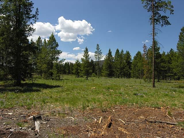 2nd image of 569 Moose Run Ln CR 5002