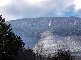 411 Eob Rd UNIT H2, Manchester, VT 05254