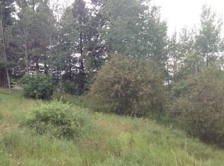 1301 S Samson Trl, McCall, ID 83638