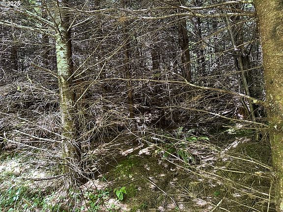 5th image of 0 Glenn Creek Rd #300