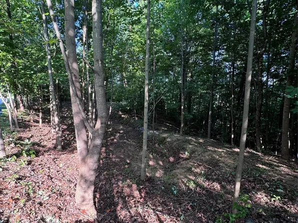 0 Holland Dr #18, Columbus, NC 28722