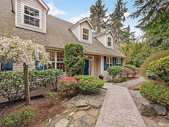 A beautiful approach of blooms, buds, and a privacy wall of trees.