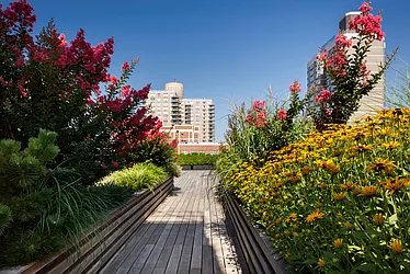 The Ventura at 240 East 86th Street in Yorkville