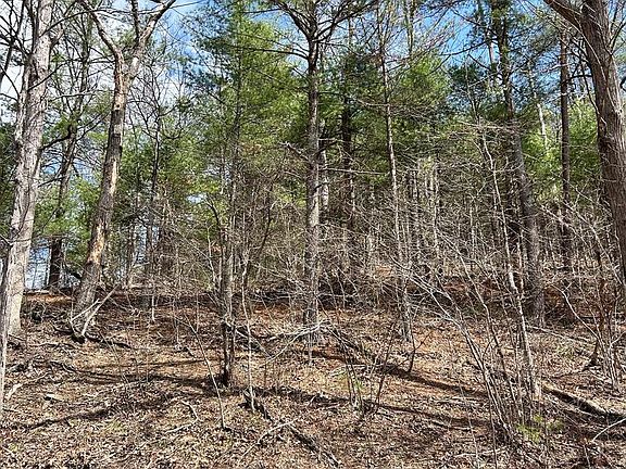 3rd image of 1150 Purcell Rd