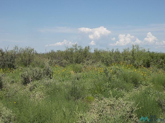 4th image of Camino Dos Rd SW