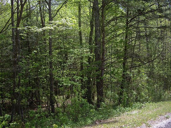 5th image of 9999 Hemlock St Lot 9999