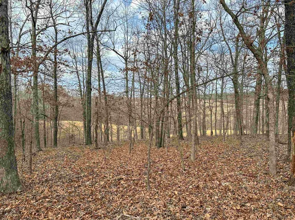 Xx Cave Crk, Mammoth Spring, AR 72554